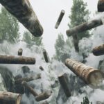 Wood beetle schade herkennen en aanpakken